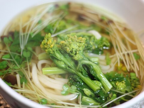 菜の花うどん